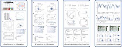 Exploitation of a shared genetic signature between obesity and endometrioid endometrial cancer